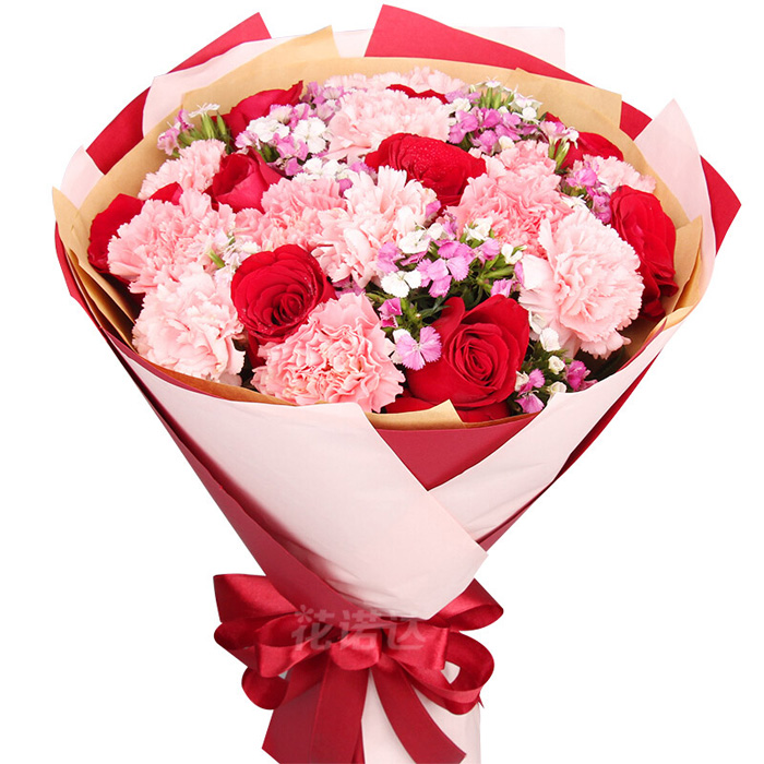 11朵粉色康乃馨，9朵红玫瑰，石竹梅丰满间插