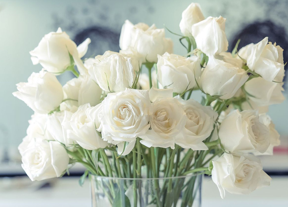 白色的玫瑰都有些什么品种 白玫瑰适合送给什么人 168鲜花速递网